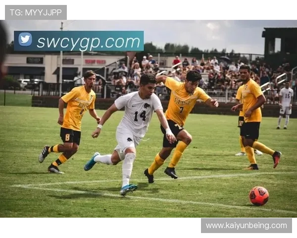 开云体育官网网址官方导航,快速找到最新体育赛事直播入口 开云体育官网网址官方导航,快速找到最新体育赛事直播入口