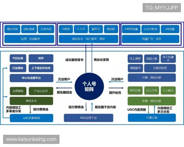解析开云旗下品牌的营销策略与品牌价值 解析开云旗下品牌的营销策略与品牌价值